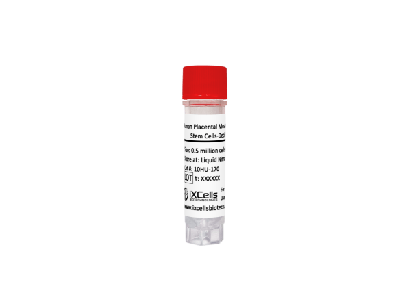 Human Placental Mesenchymal Stem Cells - Decidua