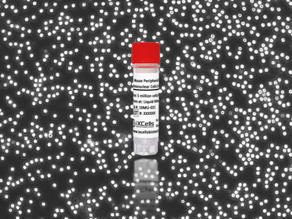 Mouse Peripheral Blood Mononuclear Cells (mPBMCs)