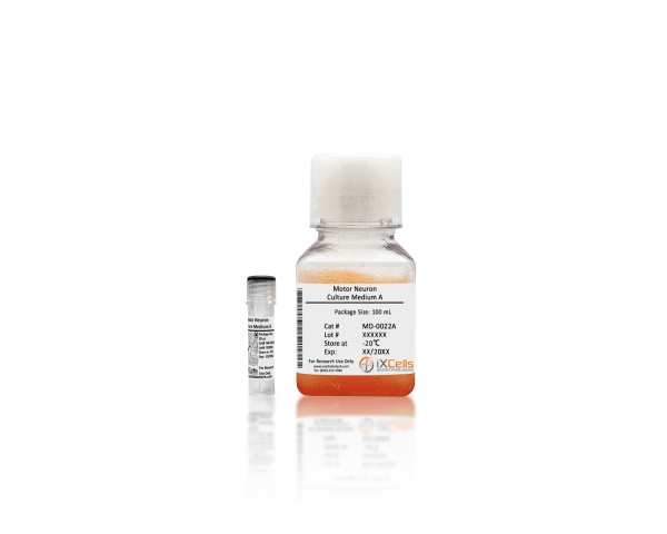 iXCells™ Motor Neuron Culture Medium Kit
