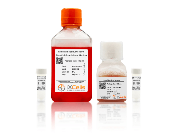 Exfoliated Deciduous Teeth Stem Cell Growth Medium