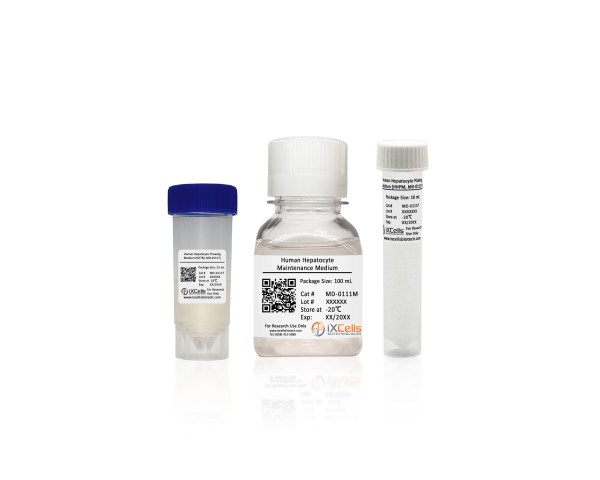 iXCells™ Human Hepatocyte Culture Kit
