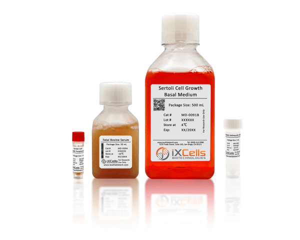 Sertoli Cell Growth Medium