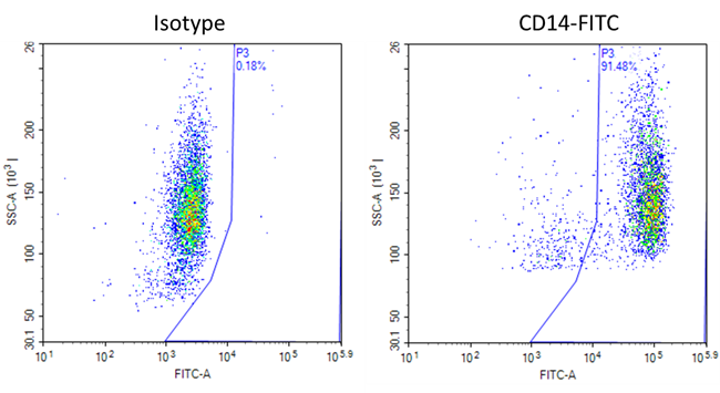 Human Peripheral Blood Pan Monocytes Untouched