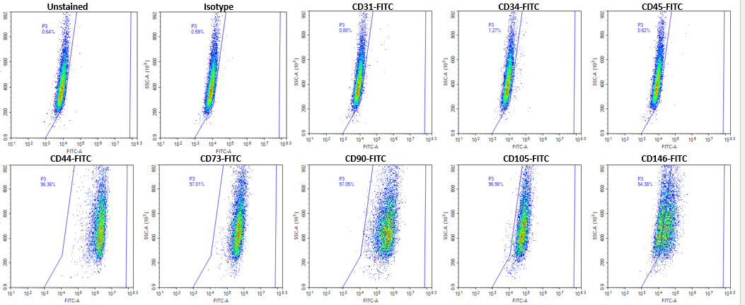 Human Placental Mesenchymal Stem Cells Figure 2