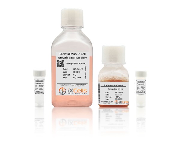 Skeletal Muscle Cell Growth Medium