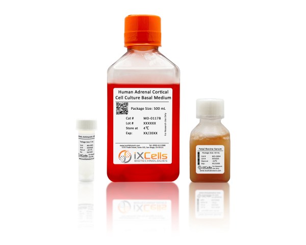 Human Adrenal Cortical Cell Culture Medium