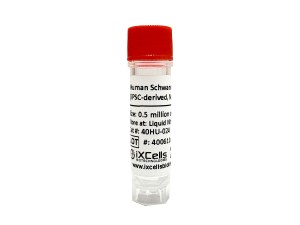 Fibroblast Basal Medium - iXCells