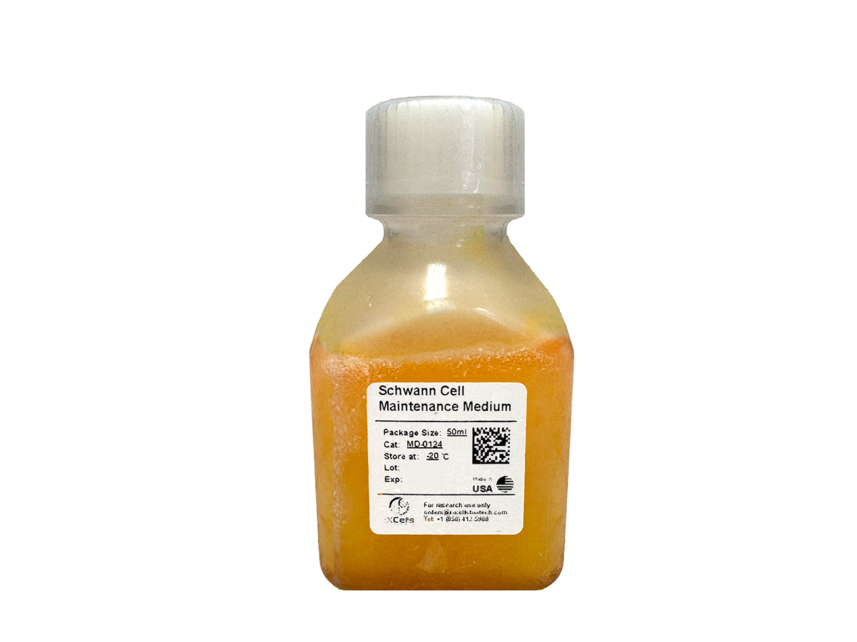 Schwann Cell Maintenance Medium - Image 2