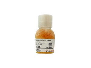 Y27632 - iXCells
