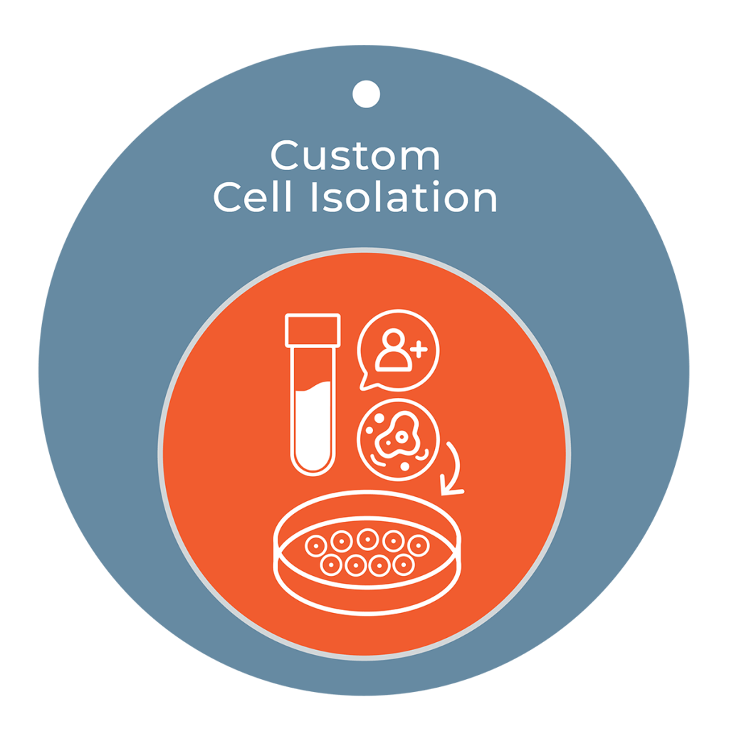 iXCells Biotechnologies | iPSC Models | Primary Cells | Preclinical CRO