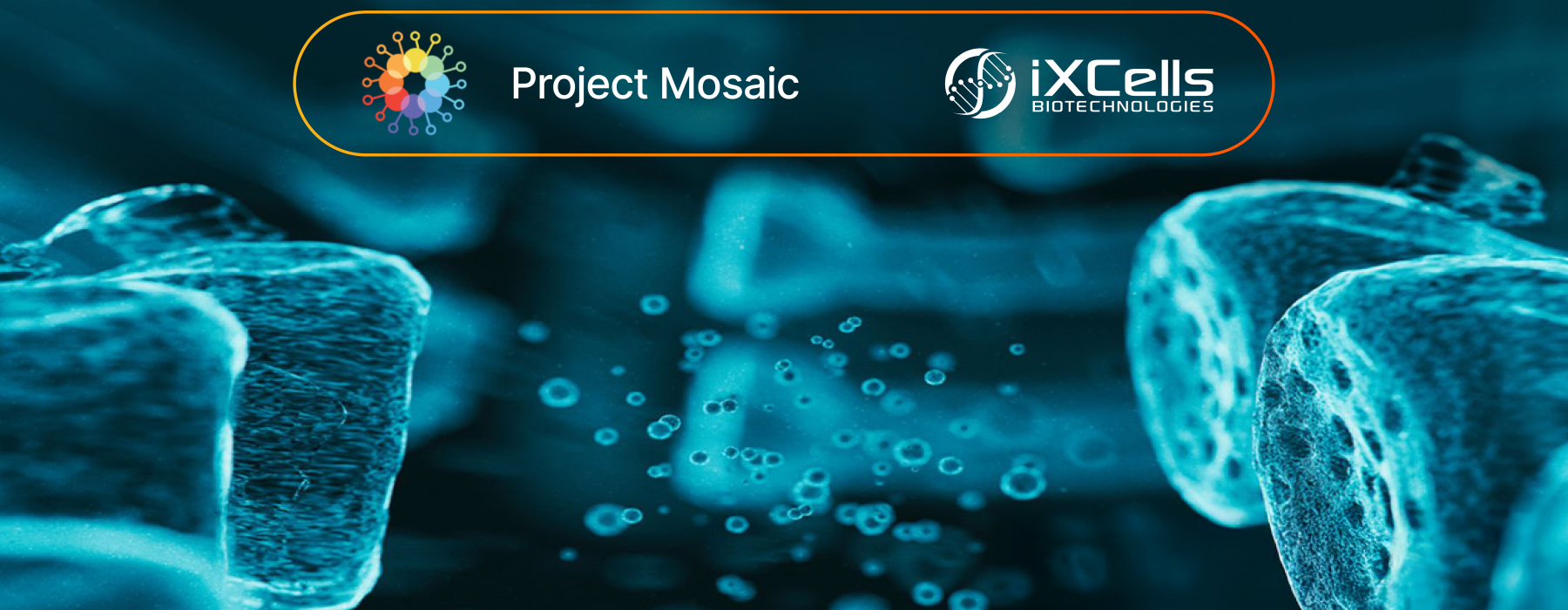 Mosaic Header Image Vee Oh Three-3 1800px 780px-01