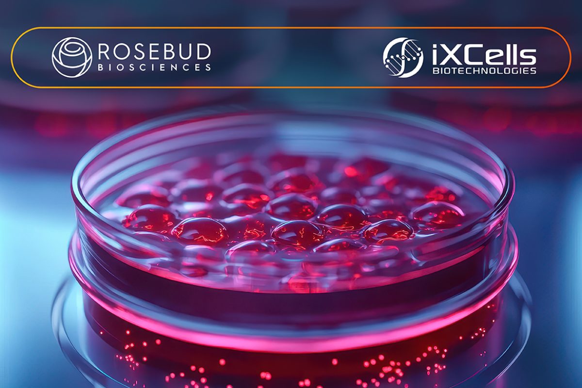 Organiods Header Image DV01 1800px 780px